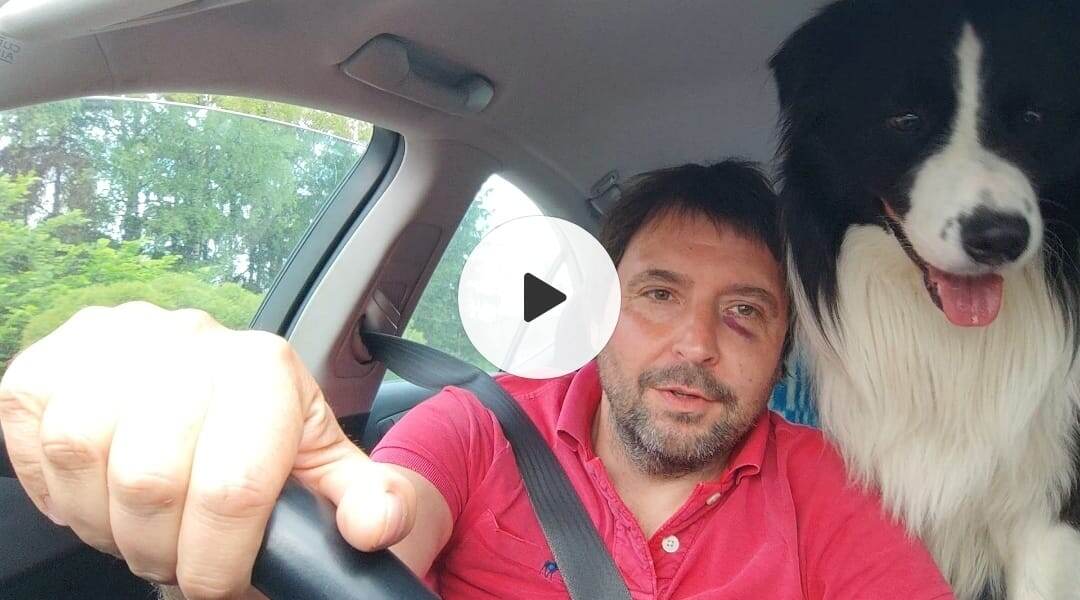 Едем, Бах обычно встает передними лапами на подлокотник и смотрит на дорогу через лобовое стекло.