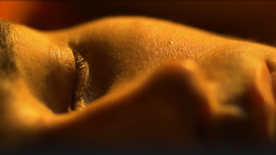 Фото: © Кадр из программы "Наука и техника", РЕН ТВ