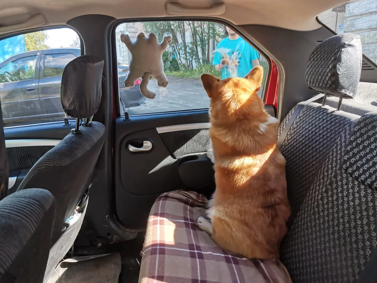 Всё бы ничего, если бы не этот тревожный запах стерильности…