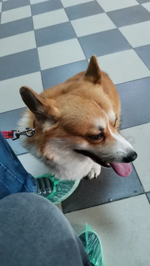 Если что — я доверяю, но всё равно держу ухо наготове