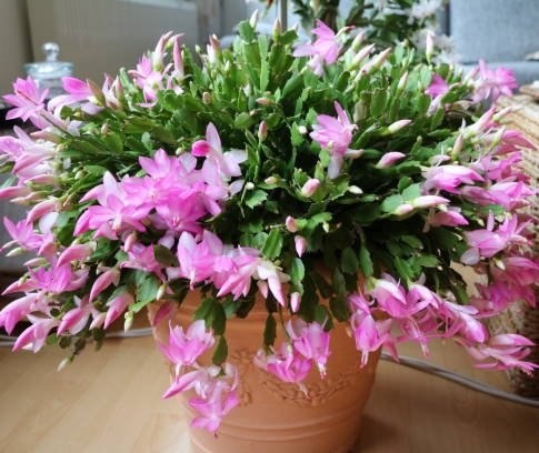 Всем привет! Для вас друзья новая статья