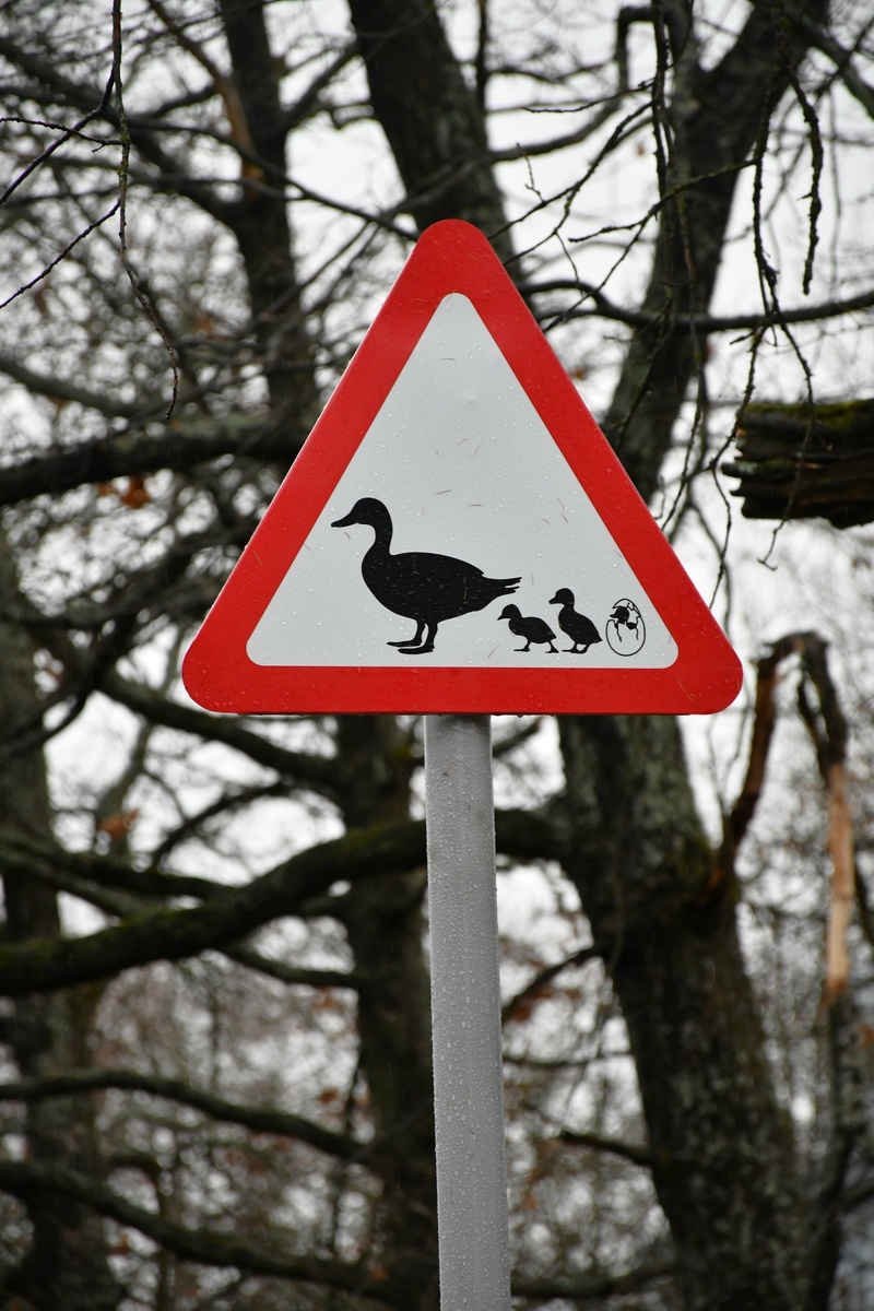    фото: © Сортавальский округ