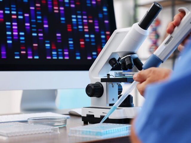    Фото: 123RF.com/liudmilachernetska