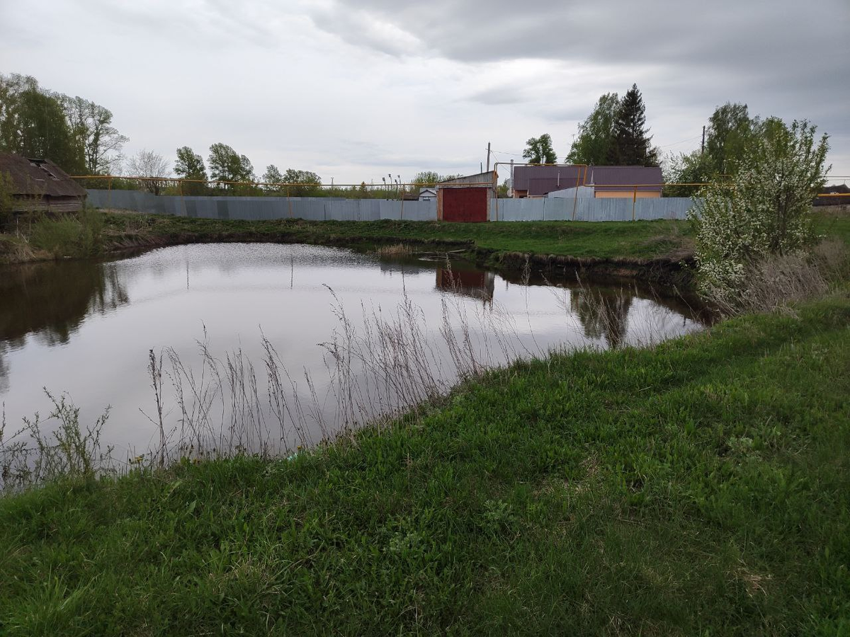 Фото автора.