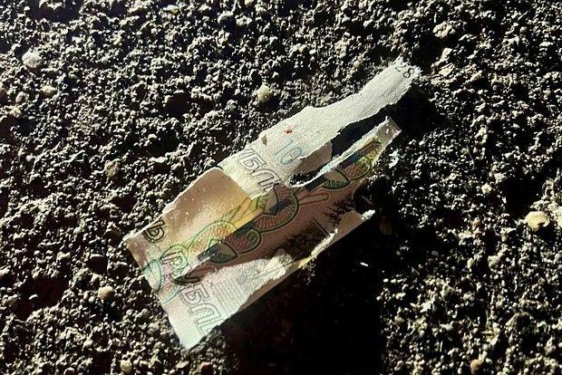 Фото: Telegram-канал «СК Подмосковья»