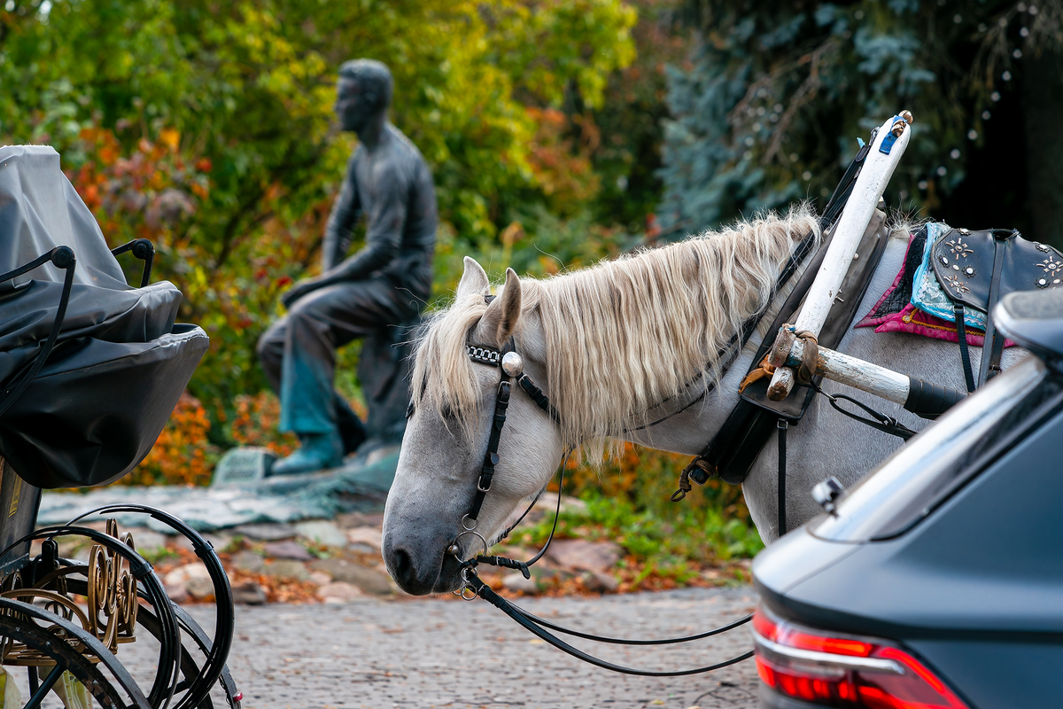 Фото: Борис Пучков