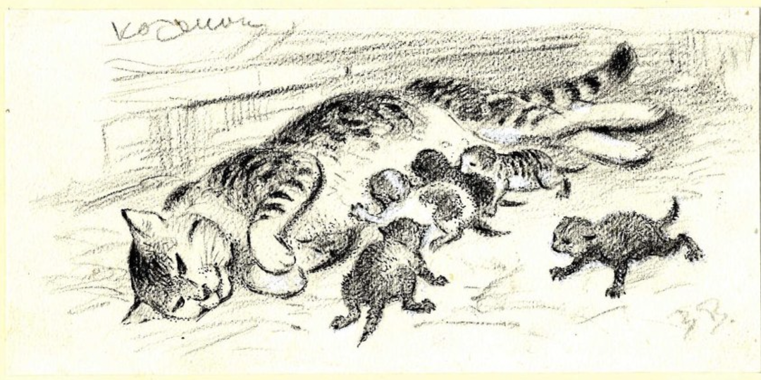 История из рассказа «Котенок» повторилась в музее писателя. Ищем дом малышам