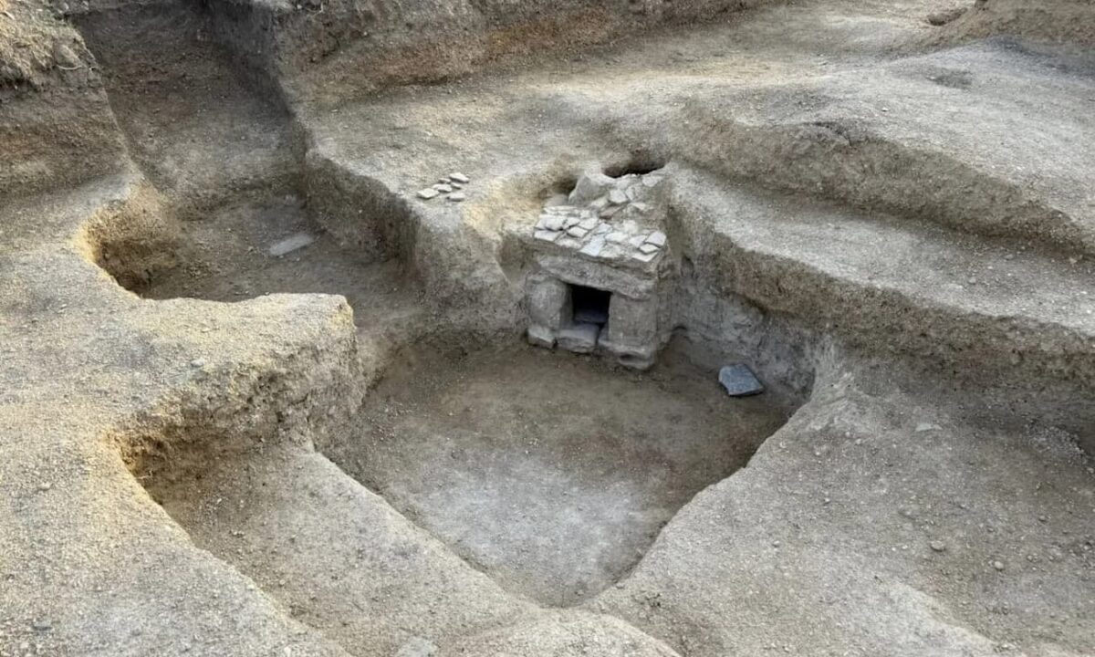    Фото пресс-службы администрации Краснодарского края