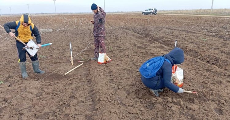    Фото: ФНЦ агроэкологии РАН