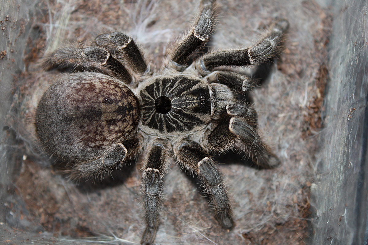 Фото из Интернета