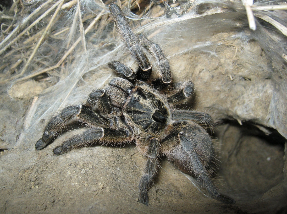 Фото из Интернета