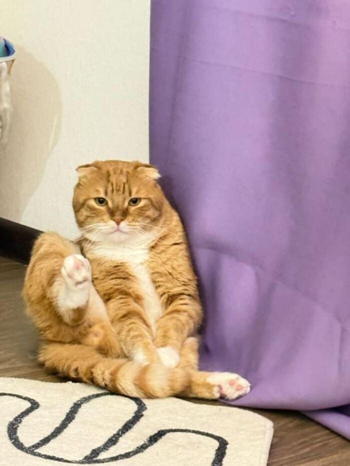 Иллюстрация: © «Панорама»