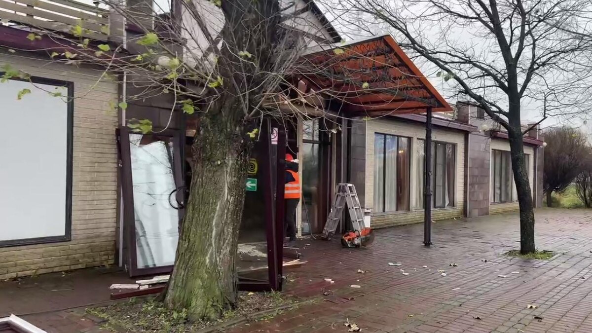    Фото: t.me/kkispb