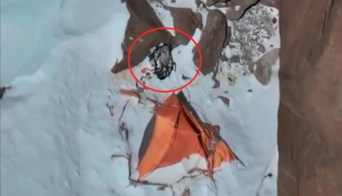 Фото из открытых источников. Автор неизвестен.