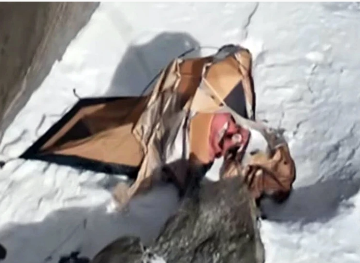 Фото из открытых источников. Автор неизвестен.