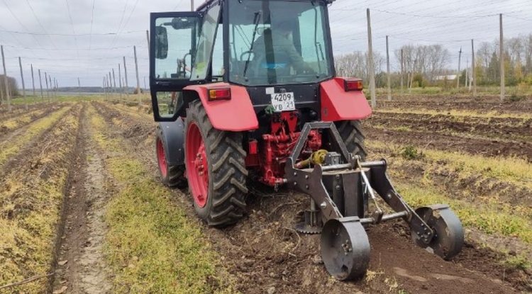    Фото: Минсельхоз Чувашской Республики