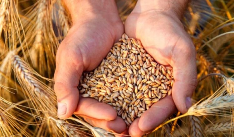    Фото: Филиал Россельхозцентра по Иркутской области