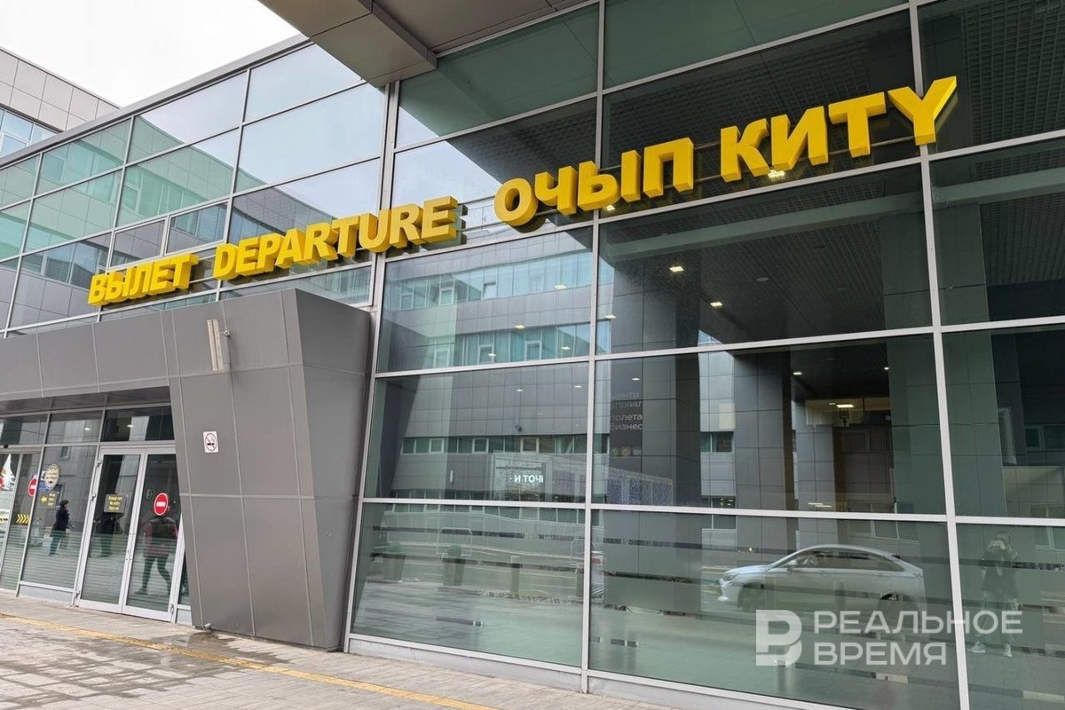   Дарья Пинегина / realnoevremya.ru