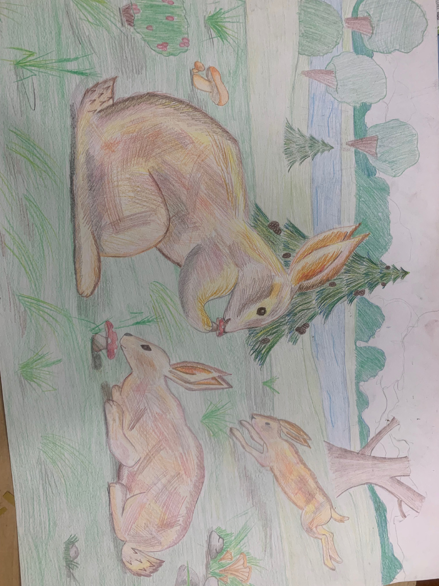 Эта работа на конкурс но у меня была фотка с доделанной работой но она куда-то делась( ну то есть я фоткала уже доделанную работу но она потерялась)