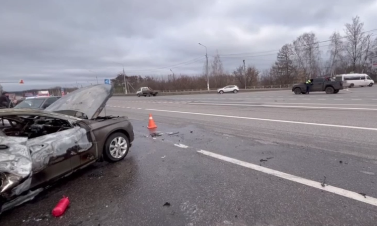 Фото: скриншот из видео УМВД России по Курской области