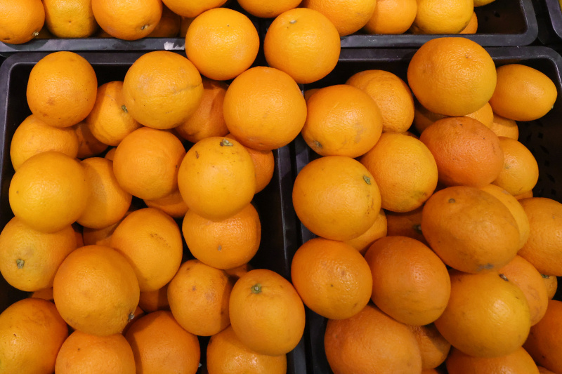    Belkin Alexey/Globallookpress