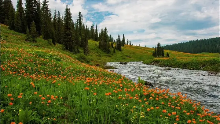 Природа Сибири