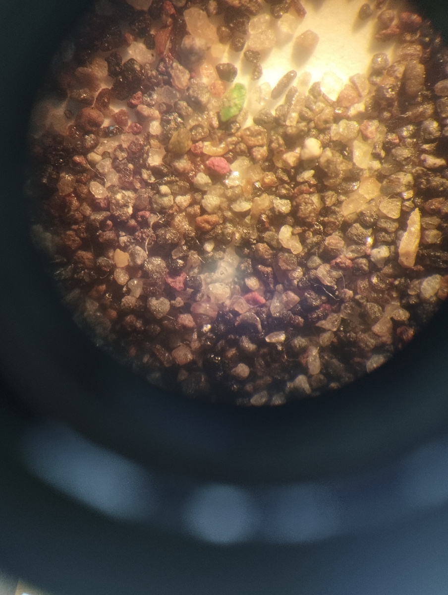 Так выглядит под микроскопом черный песок Халактырского пляжа.