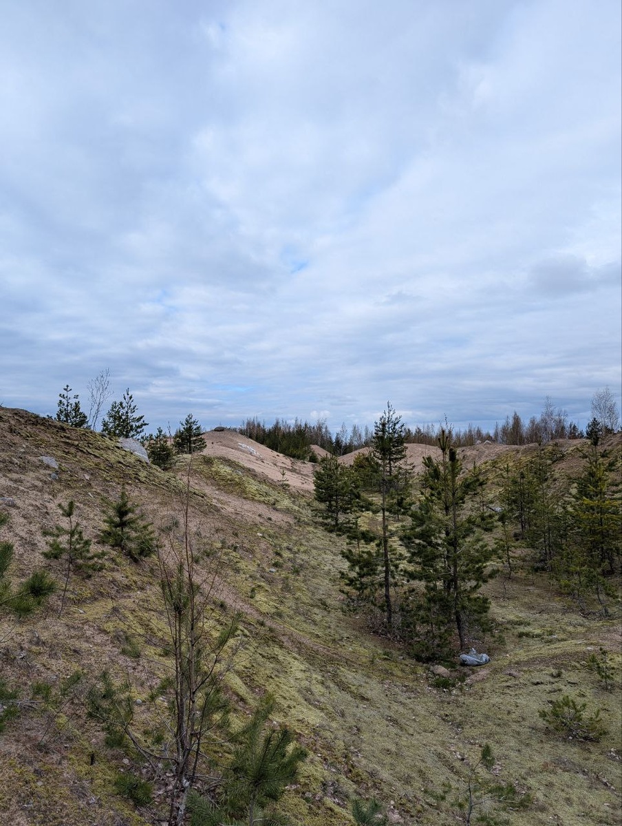 Пролесок у карьера