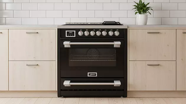 Kaiser HC 93691 IS. Фото: Павел Громов, KP.RU / Нейросеть