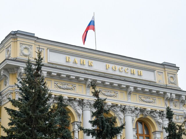    Фото: Москва 24/Никита Симонов