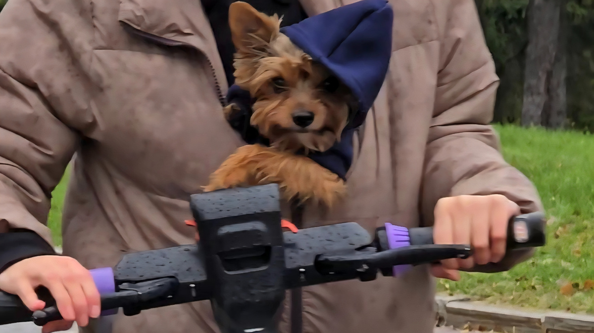 С моей любимой Евой