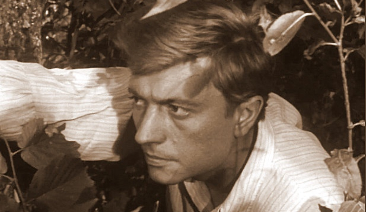 Фото из Яндекс.картинок 