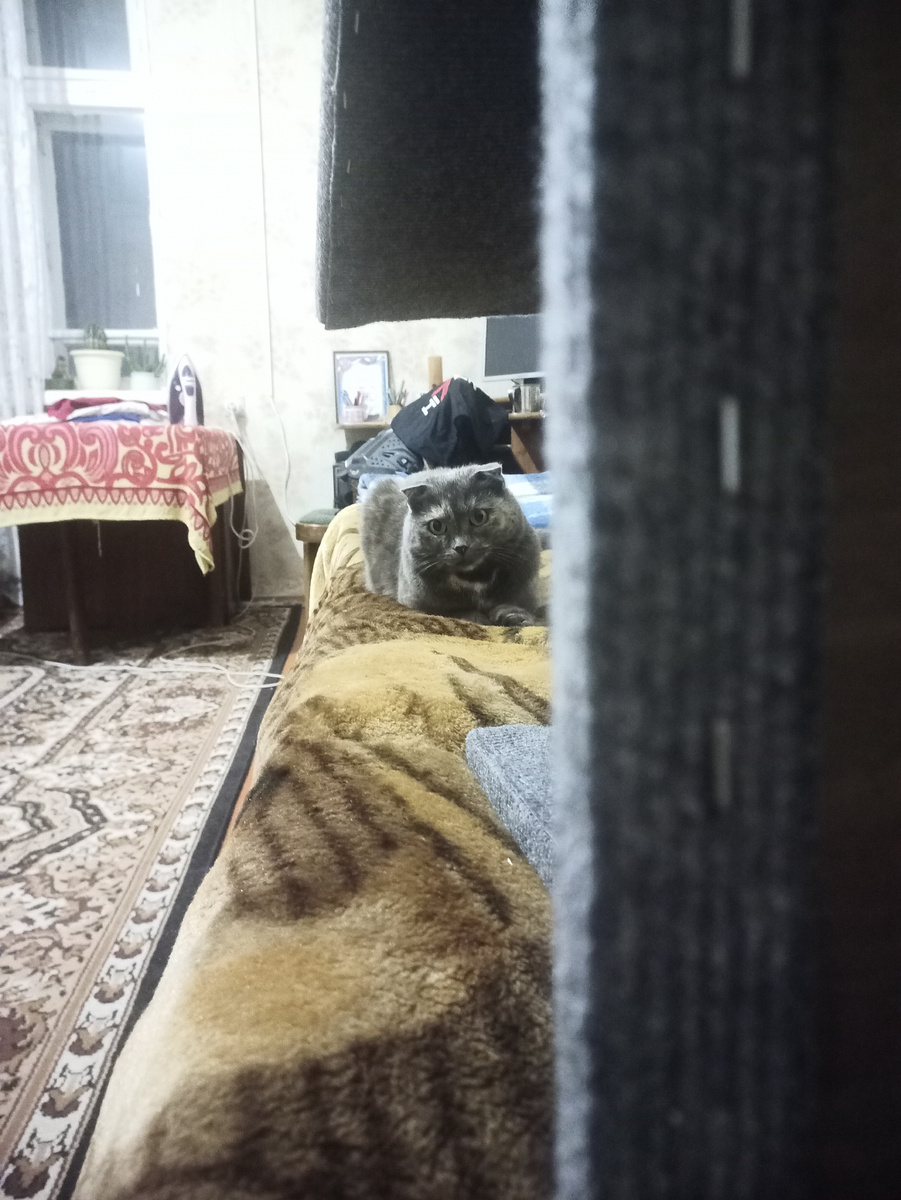 Что это ты делаешь? И зачем? Я не заказывала.