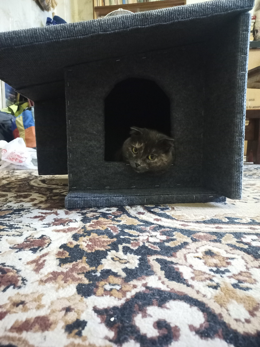 Уже в готовом. Без обивки фотографироваться отказалась))