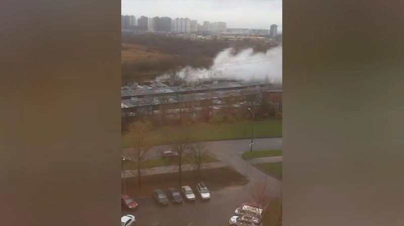 Фото: скриншот из видео / соцсети