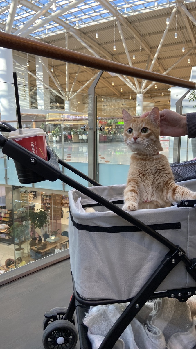 Это я, Василиса! Всем привет ♥️