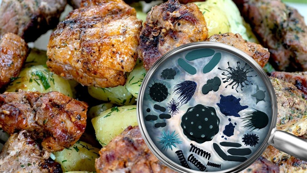    Фото: TSViPhoto/Shutterstock/Fotodom