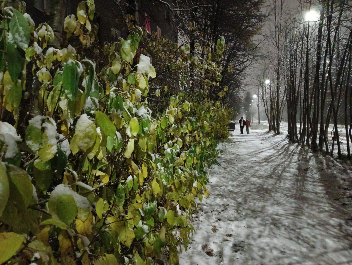 По дороге домой ❄️