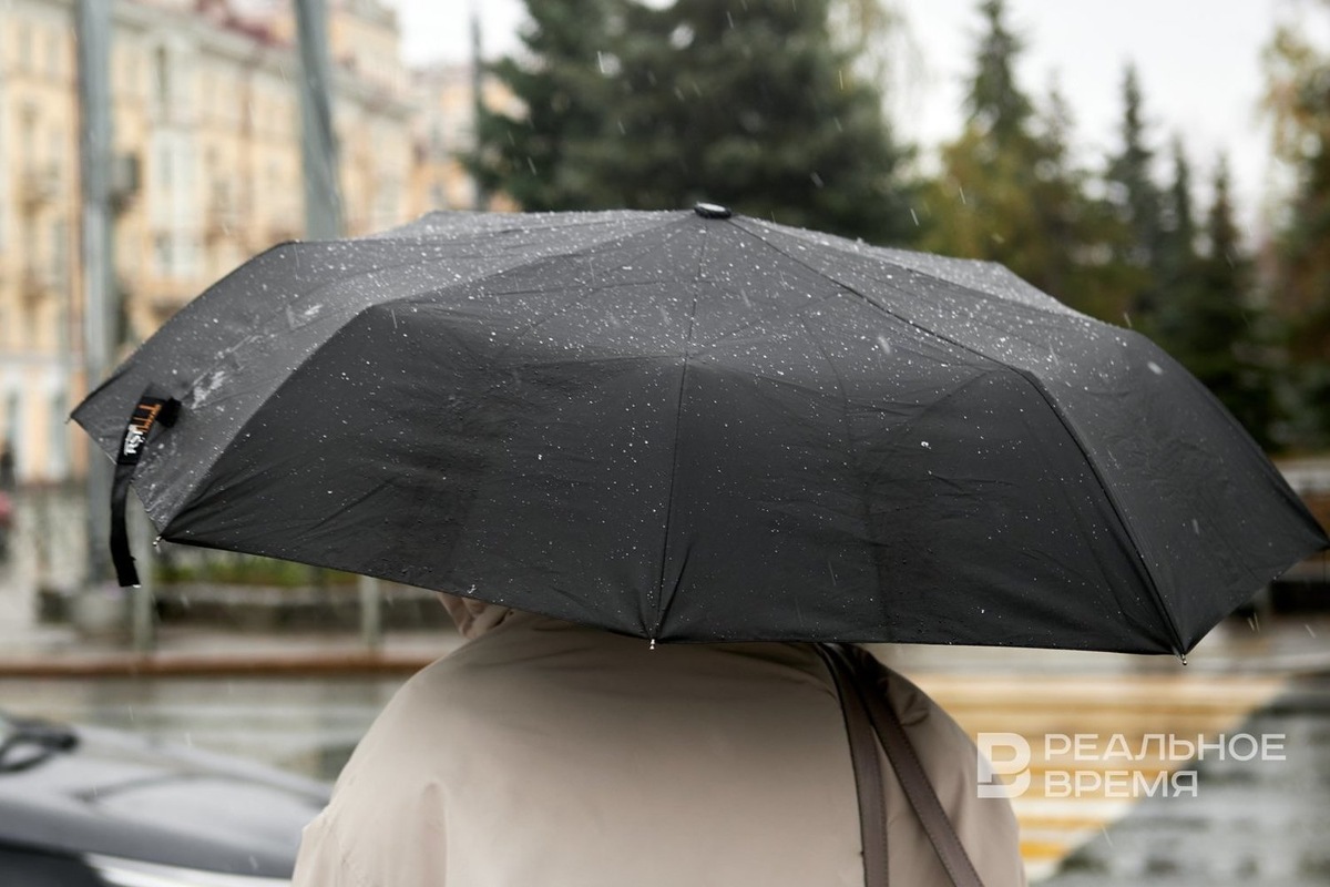   Динар Фатыхов / realnoevremya.ru