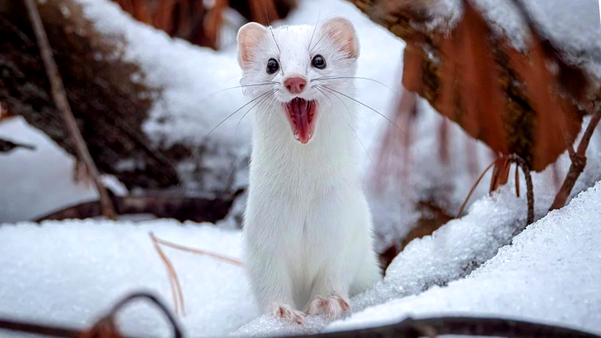 ЕЩЕ фото --->>