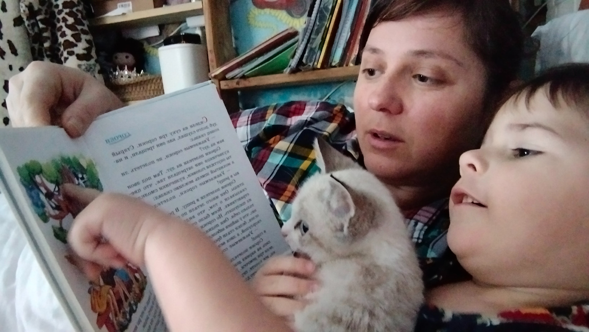 Кошка наша тоже читает))
