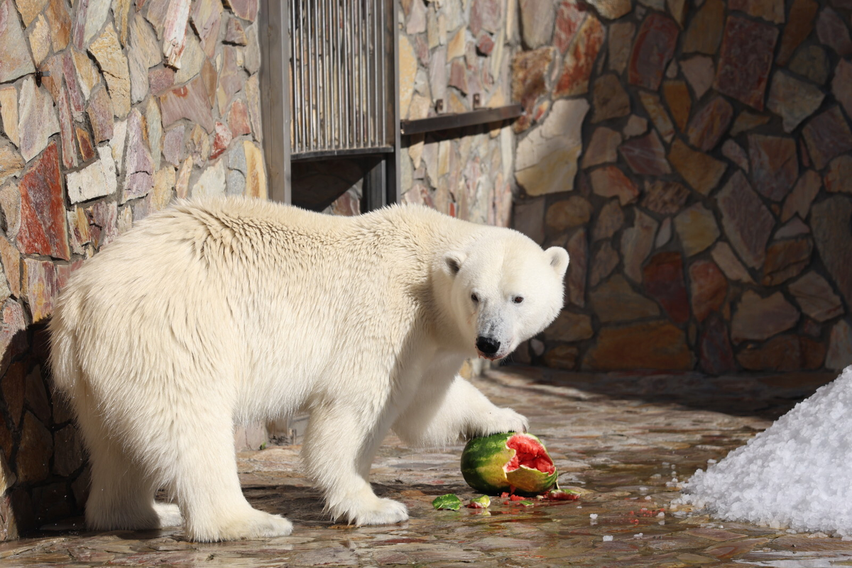 Фото: Олег Золото
