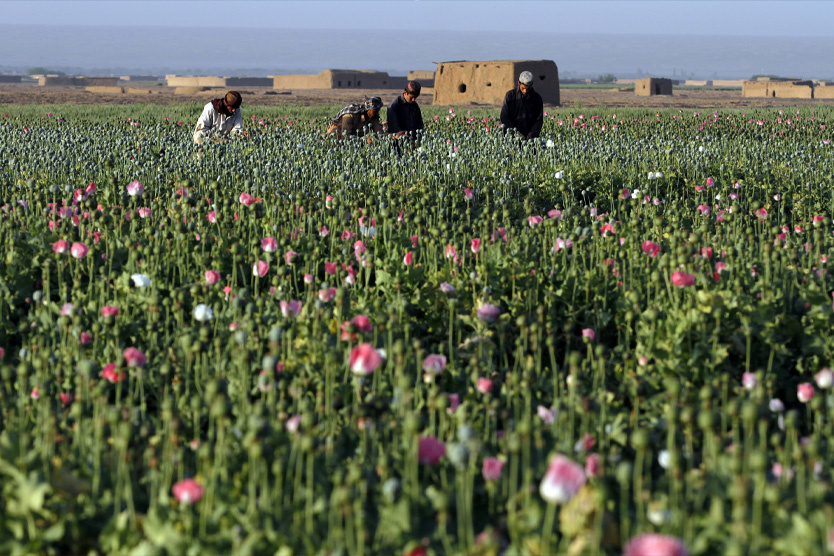     Фото: Allauddin Khan / AP / TASS