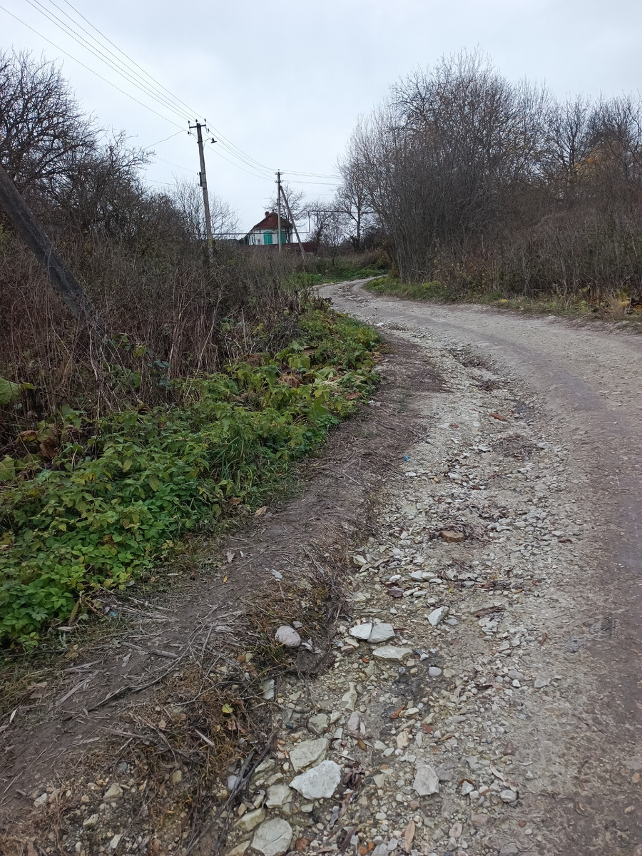 Боргустанские дороги