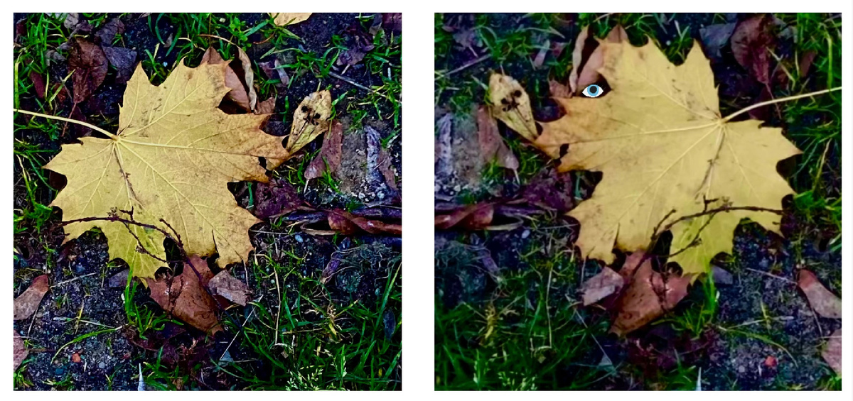 Так вижу. Фото автора