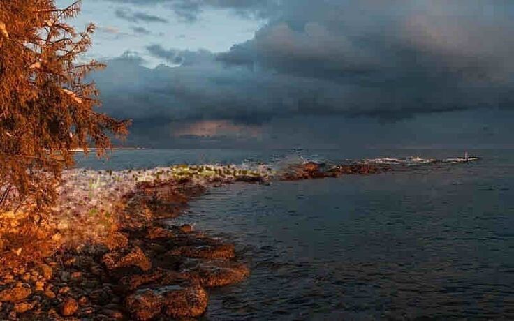 фото из интернета