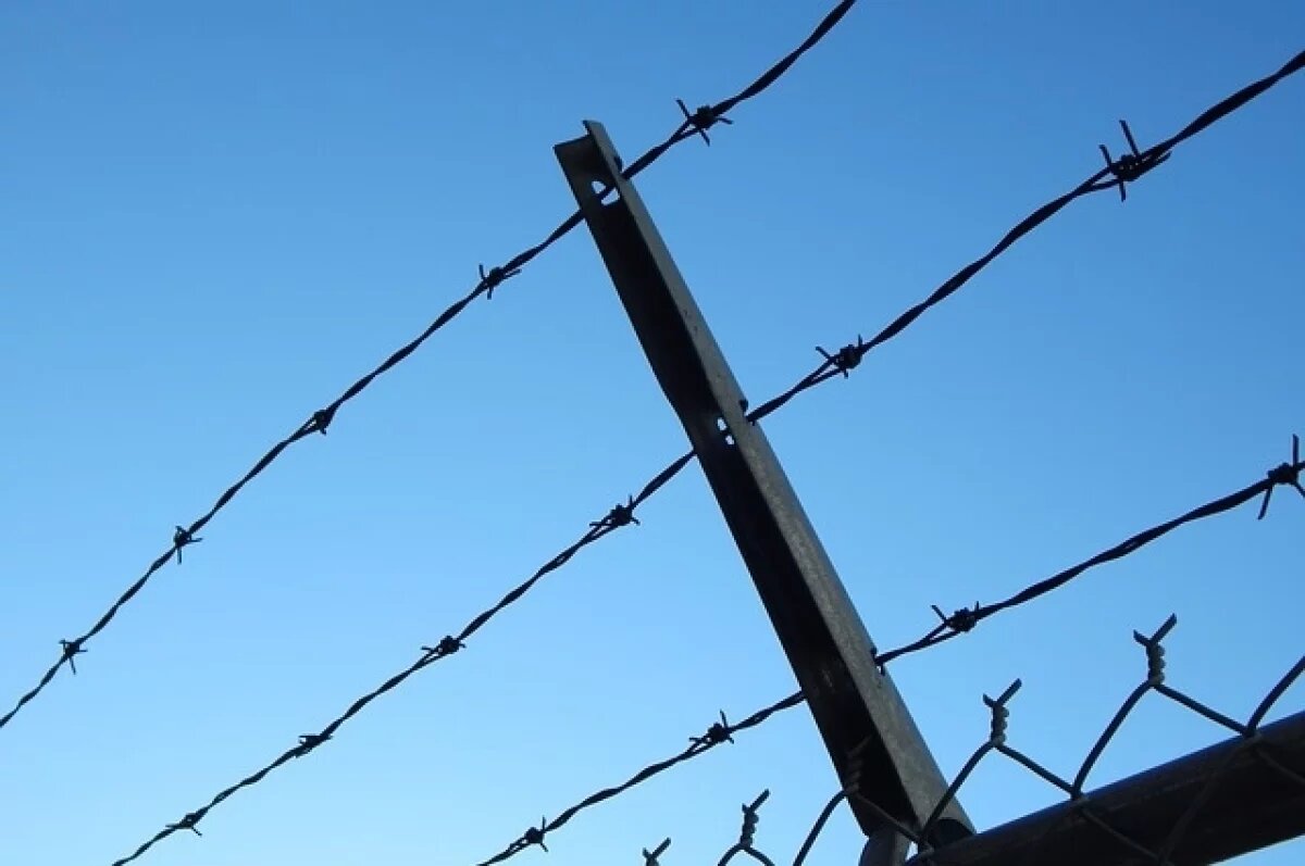    RMF24: Польша построит второе заграждение на границе с Белоруссией