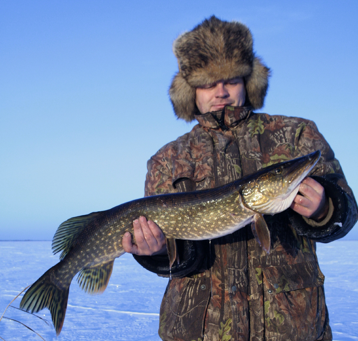 Самая мелкая щука той поездки.