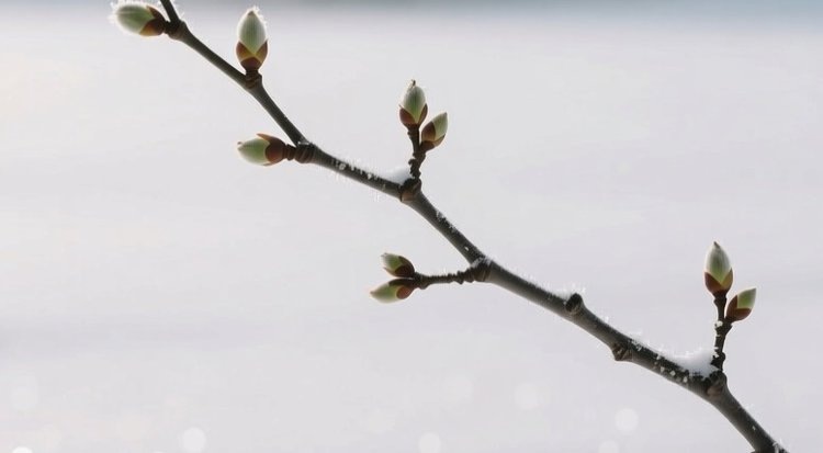    Фото: Медведева Анна, AgroXXI.ru