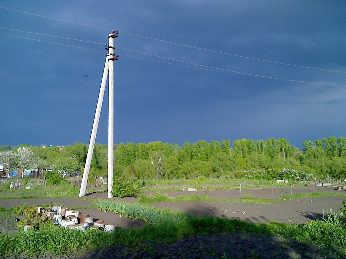 Природа. Фото автора.